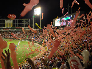 0812_24.jpg (31357 �o�C�g)