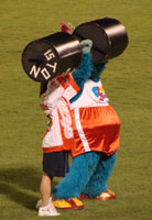 0816_30.jpg (9683 �o�C�g)