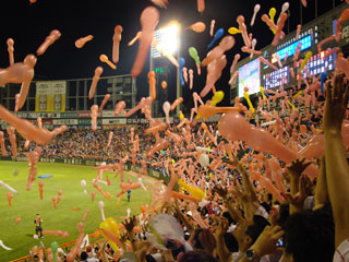 0816_36.jpg (35027 �o�C�g)