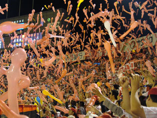 1006_30.jpg (44520 �o�C�g)