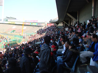 1123_12.jpg (24835 �o�C�g)