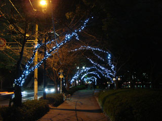 dre2007_06.jpg (22671 �o�C�g)