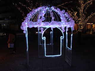 dre2007_08.jpg (22417 �o�C�g)