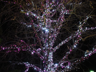 dre2007_09.jpg (31728 �o�C�g)