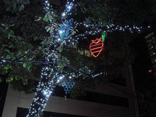 dre2007_12.jpg (22661 �o�C�g)