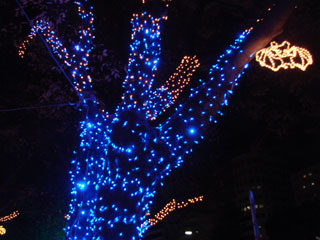 dre2007_22.jpg (27991 �o�C�g)