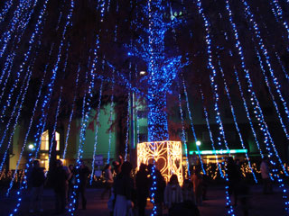 dre2007_25.jpg (37066 �o�C�g)