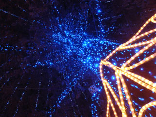 dre2007_26.jpg (35239 �o�C�g)