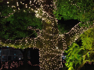 dre2007_36.jpg (35533 �o�C�g)