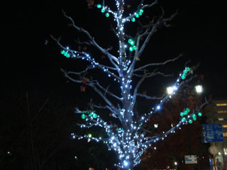 dre2007_54.jpg (18683 �o�C�g)