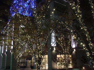 dre2007_56.jpg (33496 �o�C�g)