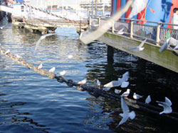 y_off01.jpg (19246 �o�C�g)