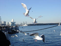 y_off02.jpg (11871 �o�C�g)